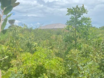 Rydale Ridge Residential Stand for Sale