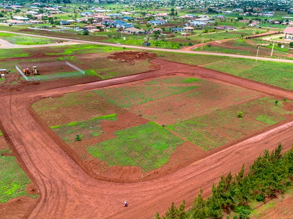 Stands & Residential Land