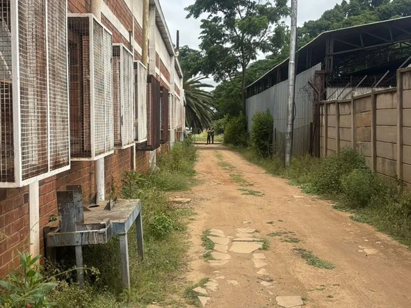 Warehouse & Factory