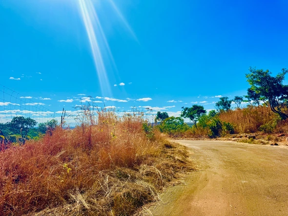 Farm & Agricultural Land